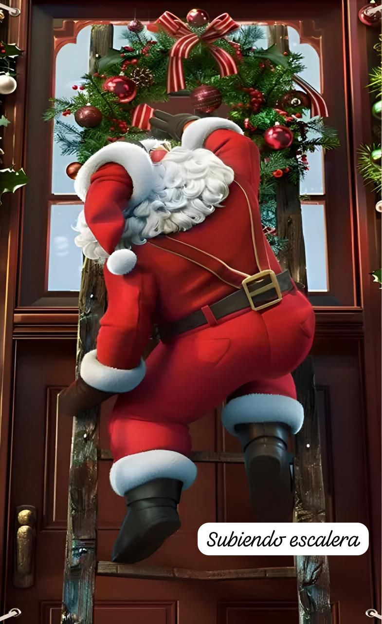 Fundas Navidenas Para Puertas