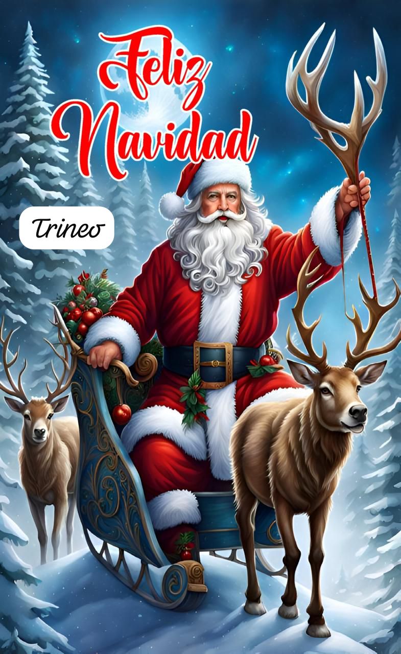 Fundas Navidenas Para Puertas